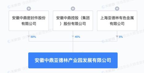 中鼎股份等2亿元共设新公司,经营范围含物联网技术研发